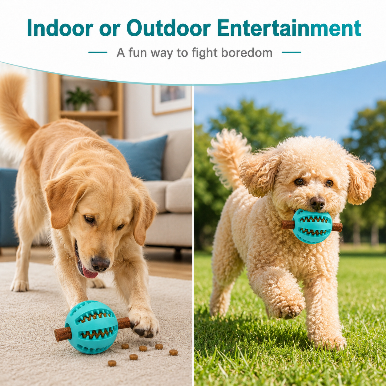 Dog Treat Ball Dispenser