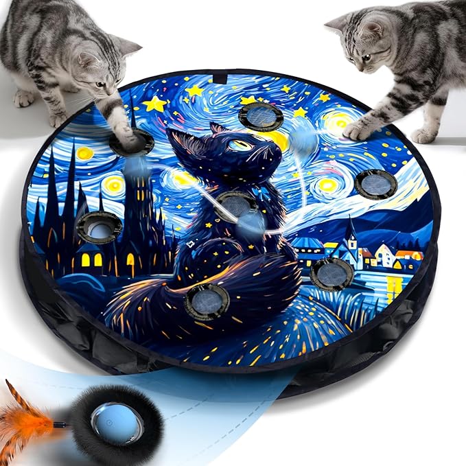 Interactive Cat Maze Ball Mat