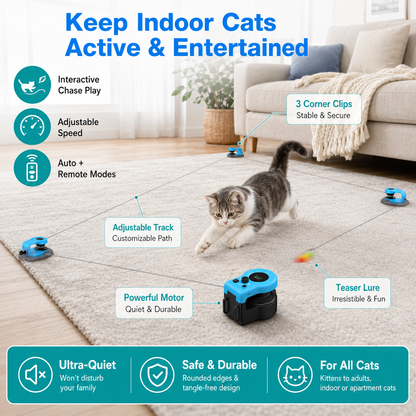 Motorized Cat Toy