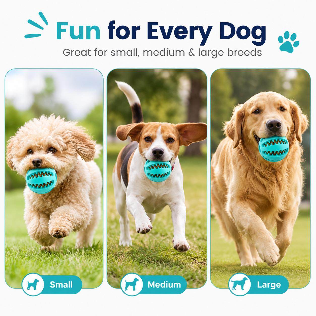 Dog Treat Ball Dispenser