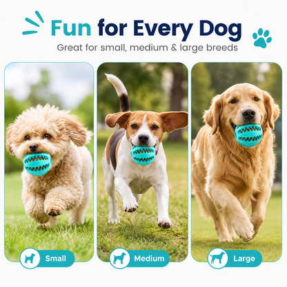 Dog Treat Ball Dispenser
