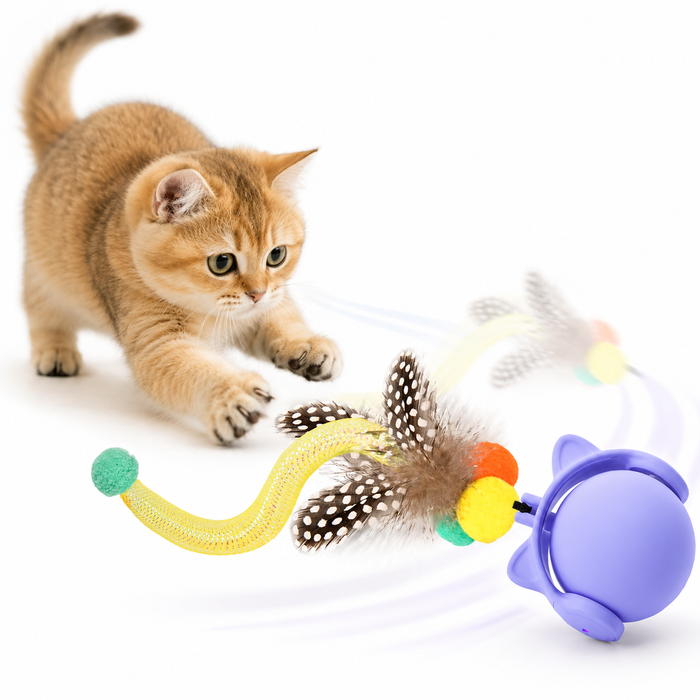 Automatic cat toy ball