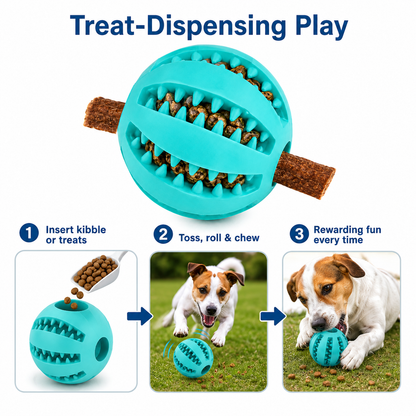 Dog Treat Ball Dispenser