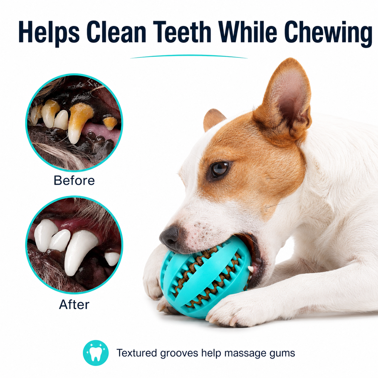 Dog Treat Ball Dispenser