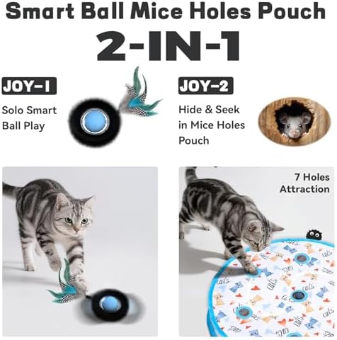 Interactive Cat Maze Ball Mat