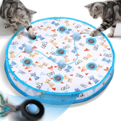 Interactive Cat Maze Ball Mat