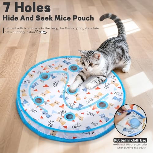 Interactive Cat Maze Ball Mat