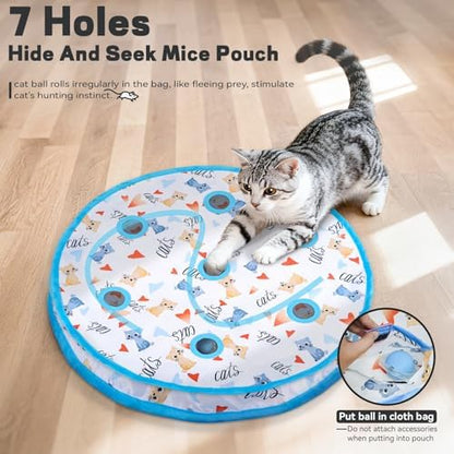 Interactive Cat Maze Ball Mat