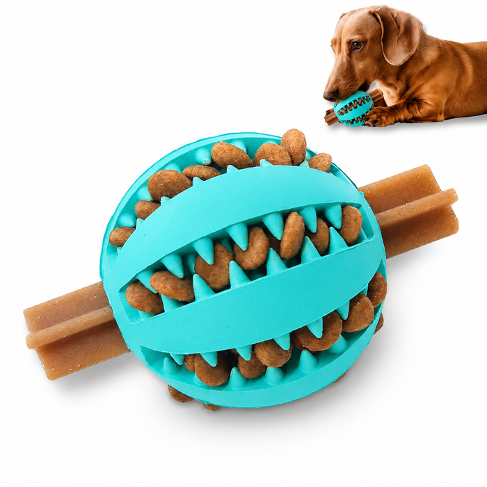Dog Treat Ball Dispenser
