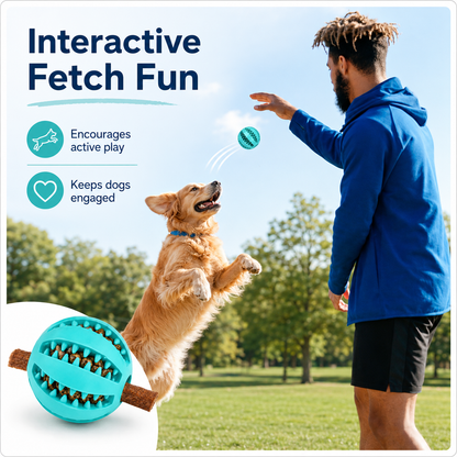 Dog Treat Ball Dispenser