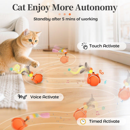 Automatic cat toy ball