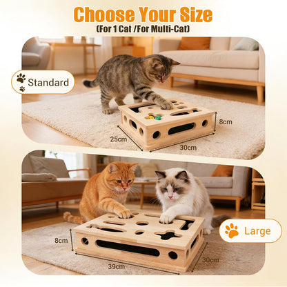 Cat Scratch Puzzle Enrichment Box
