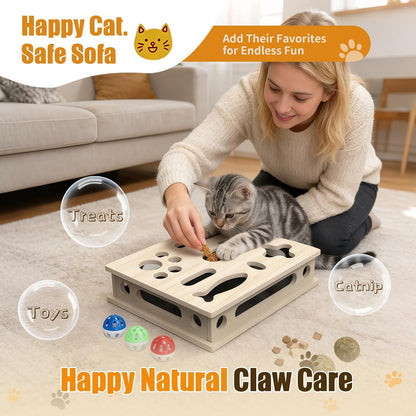 Cat Scratch Puzzle Enrichment Box