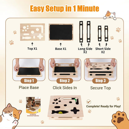 Cat Scratch Puzzle Enrichment Box