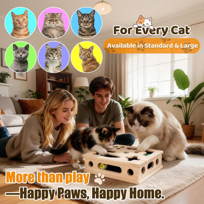 Cat Scratch Puzzle Enrichment Box