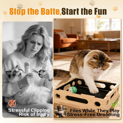 Cat Scratch Puzzle Enrichment Box