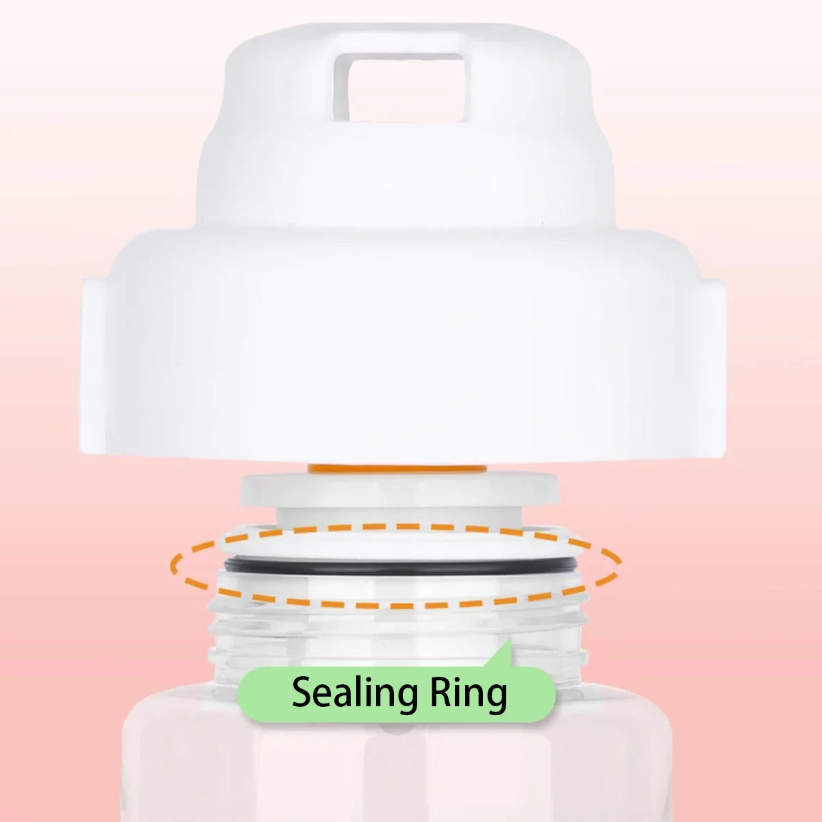 Portable Pet Water & Food Bottle