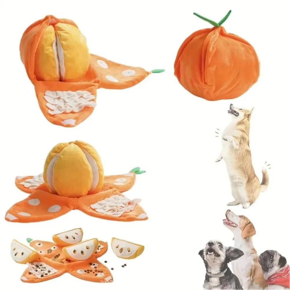 Pumpkin Puzzle  Plush Dog Toy