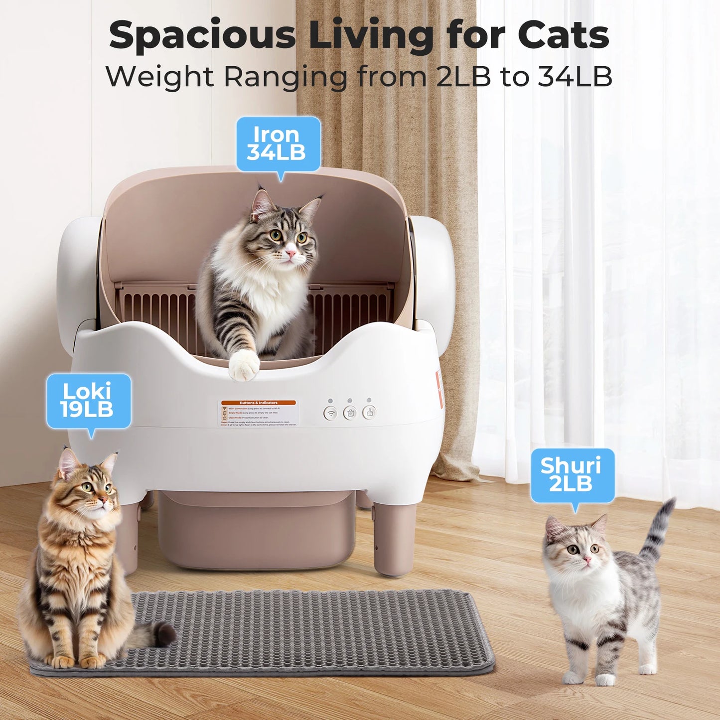 Automatic Cat Litter Box