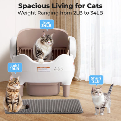 Automatic Cat Litter Box