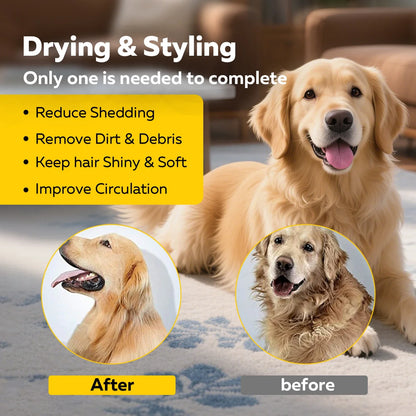 Portable Pet Hair Dryer